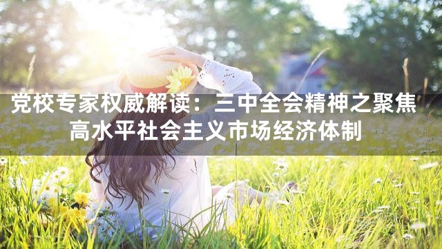 党校专家权威解读：三中全会精神之聚焦高水平社会主义市场经济体制