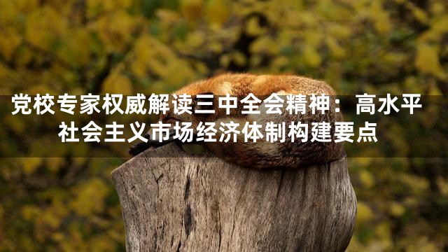 党校专家权威解读三中全会精神：高水平社会主义市场经济体制构建要点