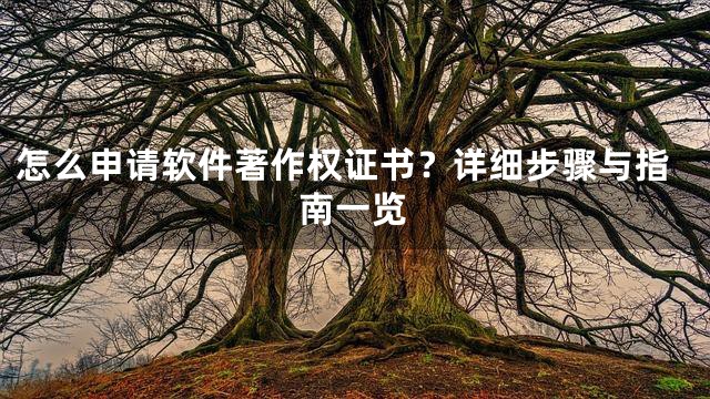 怎么申请软件著作权证书？详细步骤与指南一览