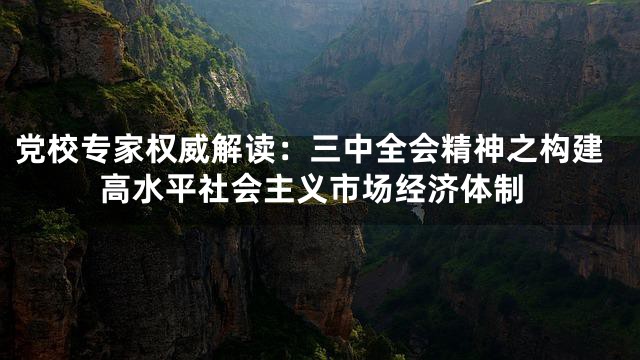 党校专家权威解读：三中全会精神之构建高水平社会主义市场经济体制