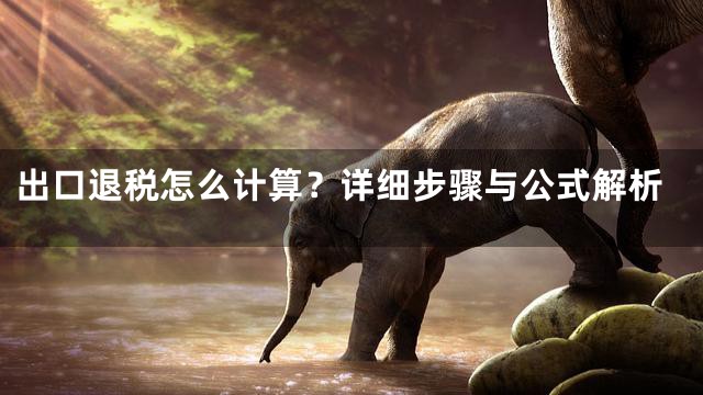 出口退税怎么计算？详细步骤与公式解析