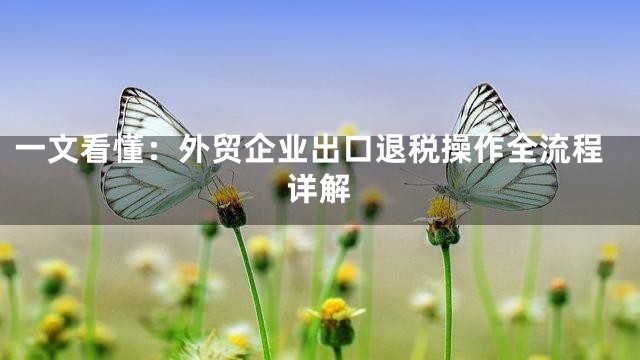 一文看懂：外贸企业出口退税操作全流程详解
