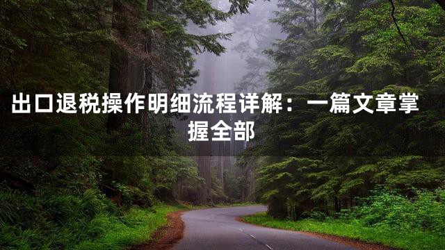 出口退税操作明细流程详解：一篇文章掌握全部