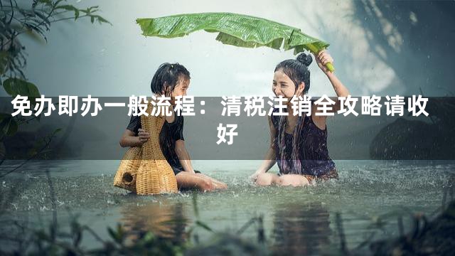 免办即办一般流程：清税注销全攻略请收好