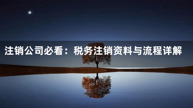 注销公司必看：税务注销资料与流程详解