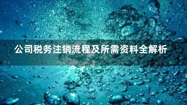 公司税务注销流程及所需资料全解析