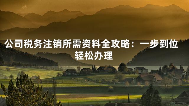 公司税务注销所需资料全攻略：一步到位轻松办理