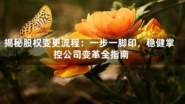 揭秘股权变更流程：一步一脚印，稳健掌控公司变革全指南