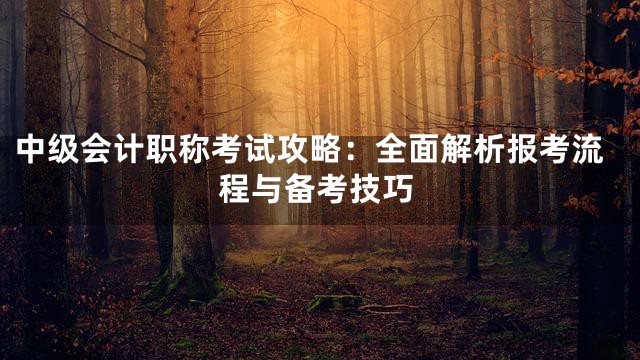 中级会计职称考试攻略：全面解析报考流程与备考技巧