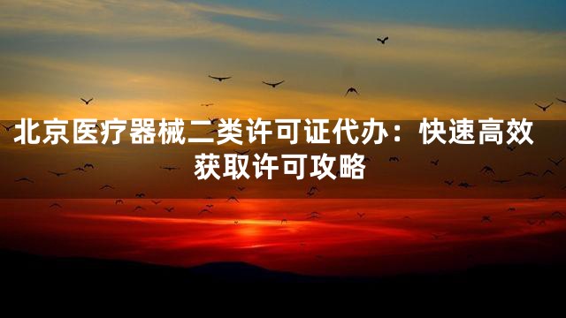 北京医疗器械二类许可证代办：快速高效获取许可攻略