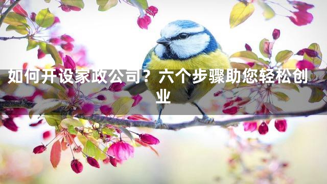 如何开设家政公司？六个步骤助您轻松创业