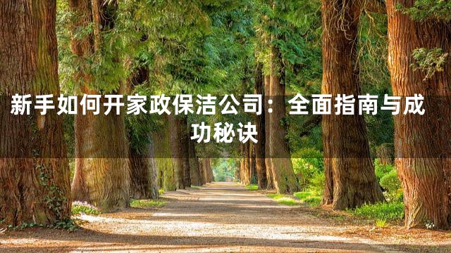 新手如何开家政保洁公司：全面指南与成功秘诀