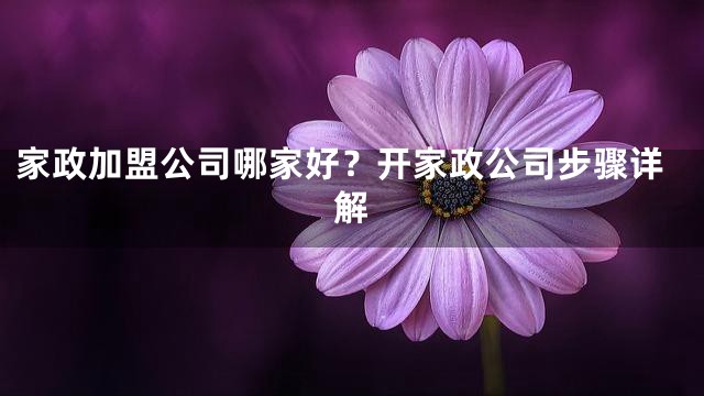 家政加盟公司哪家好？开家政公司步骤详解
