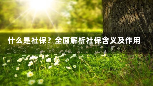什么是社保？全面解析社保含义及作用