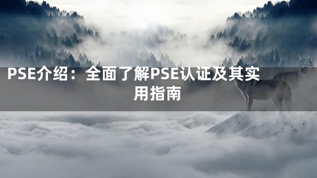 PSE介绍：全面了解PSE认证及其实用指南