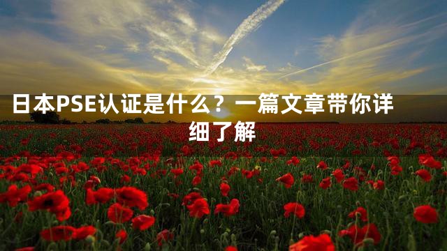 日本PSE认证是什么？一篇文章带你详细了解