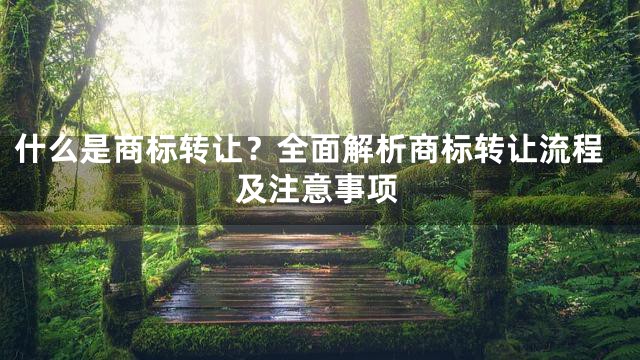 什么是商标转让？全面解析商标转让流程及注意事项