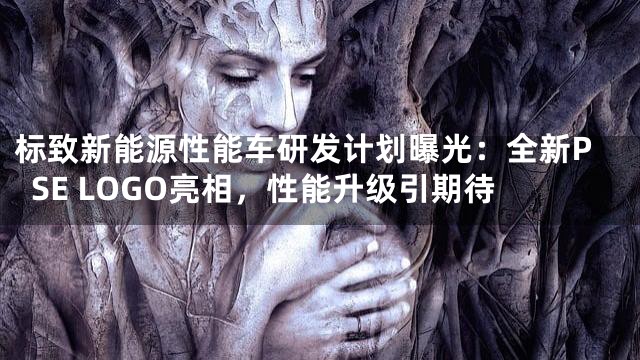 标致新能源性能车研发计划曝光：全新PSE LOGO亮相，性能升级引期待