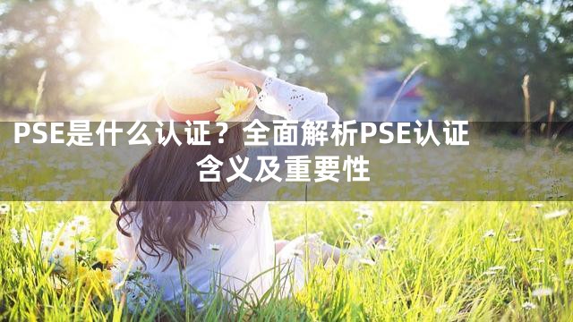 PSE是什么认证？全面解析PSE认证含义及重要性