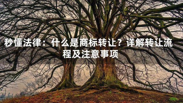 秒懂法律：什么是商标转让？详解转让流程及注意事项