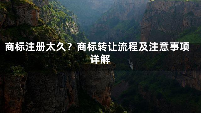 商标注册太久？商标转让流程及注意事项详解