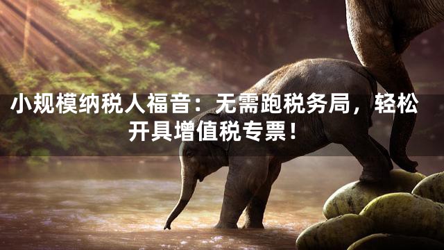 小规模纳税人福音：无需跑税务局，轻松开具增值税专票！