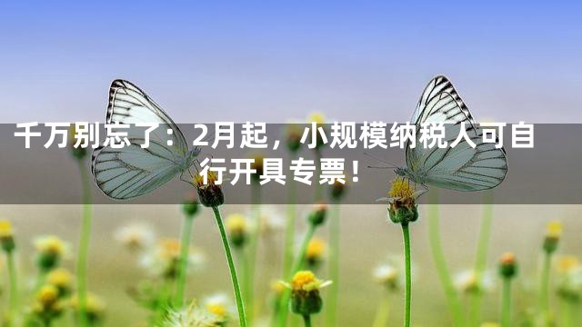 千万别忘了：2月起，小规模纳税人可自行开具专票！