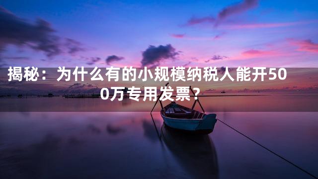 揭秘：为什么有的小规模纳税人能开500万专用发票？
