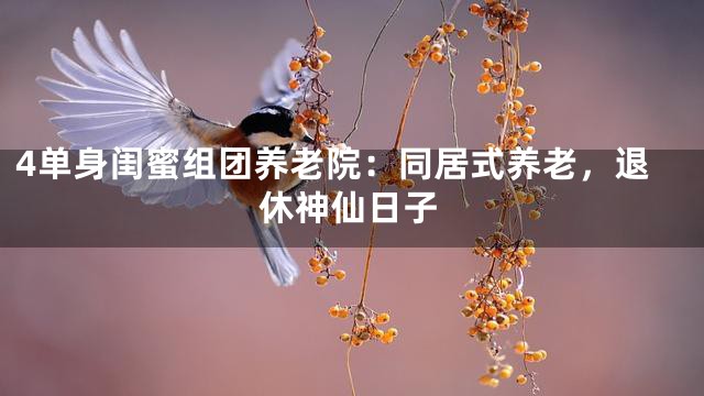 4单身闺蜜组团养老院：同居式养老，退休神仙日子