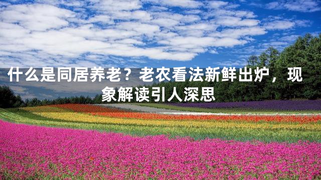 什么是同居养老？老农看法新鲜出炉，现象解读引人深思