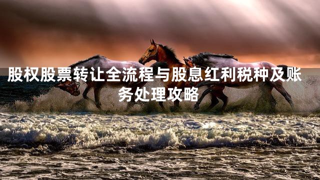 股权股票转让全流程与股息红利税种及账务处理攻略