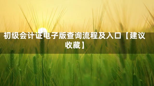 初级会计证电子版查询流程及入口【建议收藏】