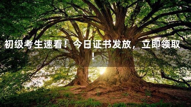 初级考生速看！今日证书发放，立即领取！
