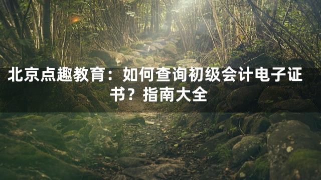 北京点趣教育：如何查询初级会计电子证书？指南大全