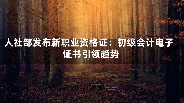人社部发布新职业资格证：初级会计电子证书引领趋势