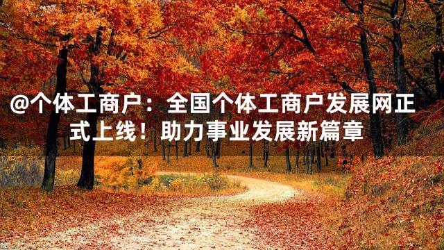@个体工商户：全国个体工商户发展网正式上线！助力事业发展新篇章