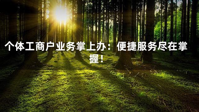 个体工商户业务掌上办：便捷服务尽在掌握！
