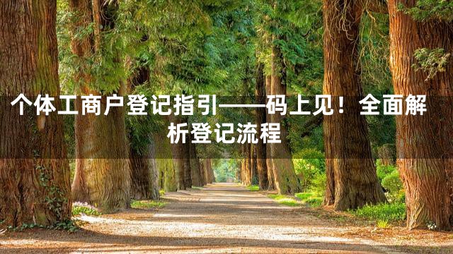 个体工商户登记指引——码上见！全面解析登记流程