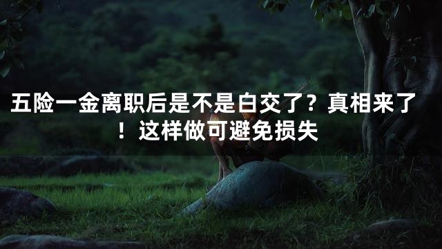五险一金离职后是不是白交了？真相来了！这样做可避免损失