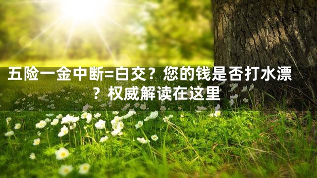 五险一金中断=白交？您的钱是否打水漂？权威解读在这里