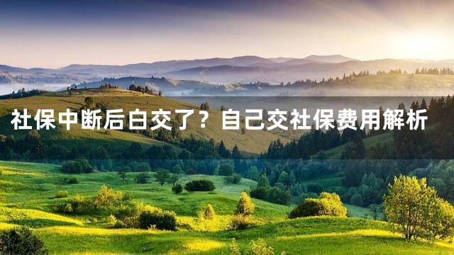 社保中断后白交了？自己交社保费用解析