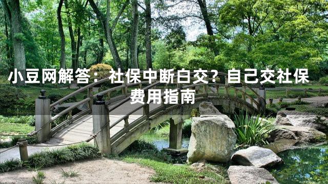 小豆网解答：社保中断白交？自己交社保费用指南