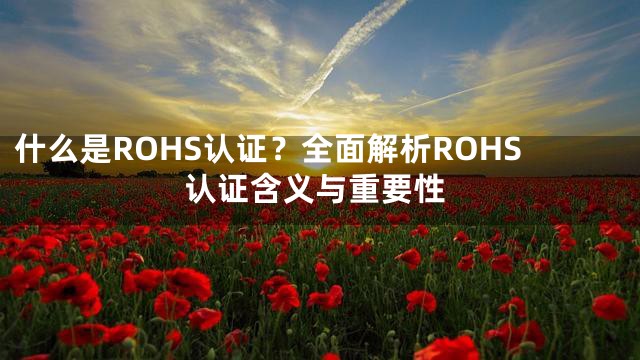 什么是ROHS认证？全面解析ROHS认证含义与重要性