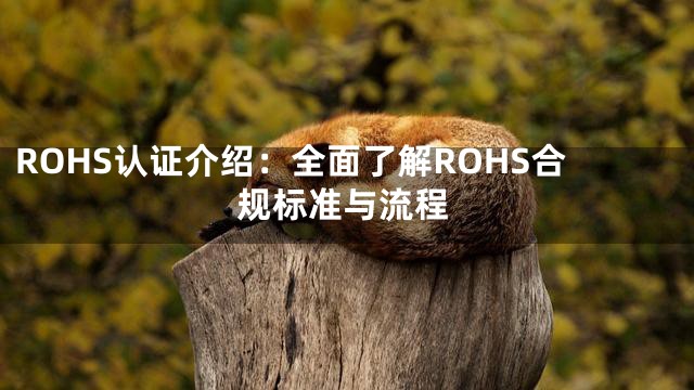 ROHS认证介绍：全面了解ROHS合规标准与流程