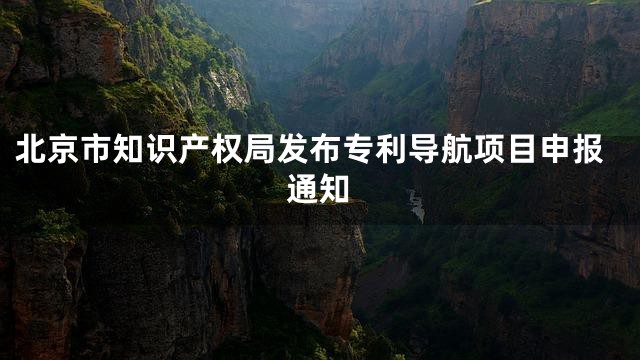 北京市知识产权局发布专利导航项目申报通知