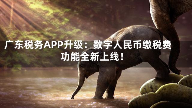 广东税务APP升级：数字人民币缴税费功能全新上线！