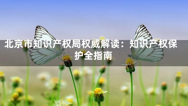 北京市知识产权局权威解读：知识产权保护全指南