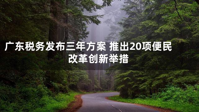广东税务发布三年方案 推出20项便民改革创新举措
