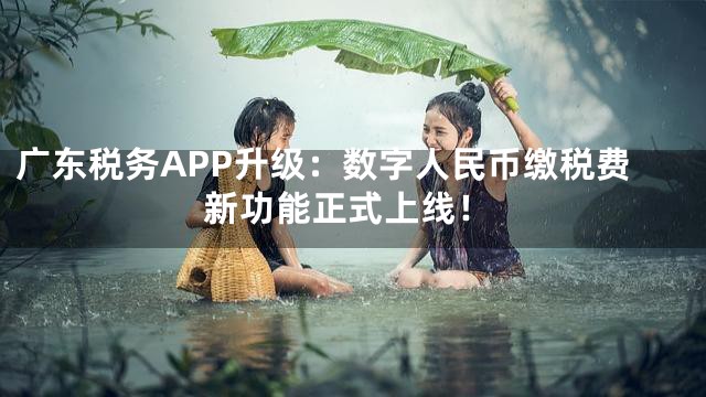 广东税务APP升级：数字人民币缴税费新功能正式上线！