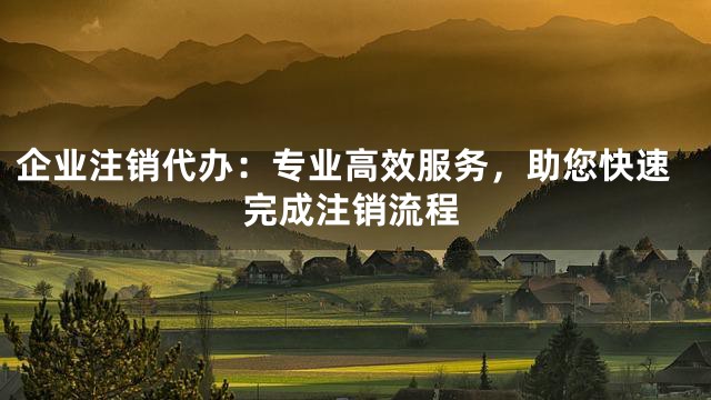 企业注销代办：专业高效服务，助您快速完成注销流程